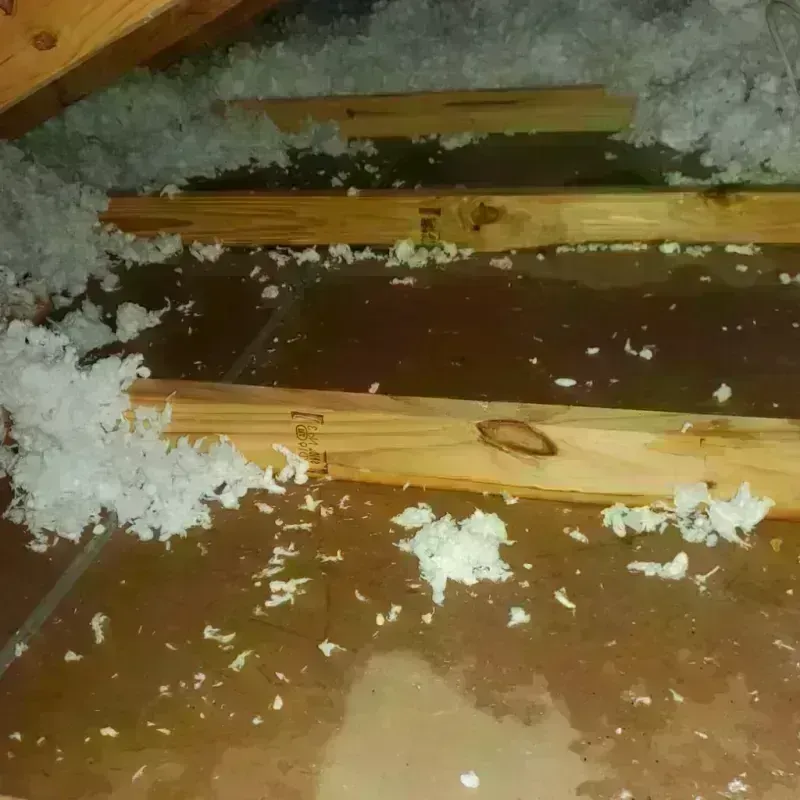 Attic Water Damage in Sheridan County, MT