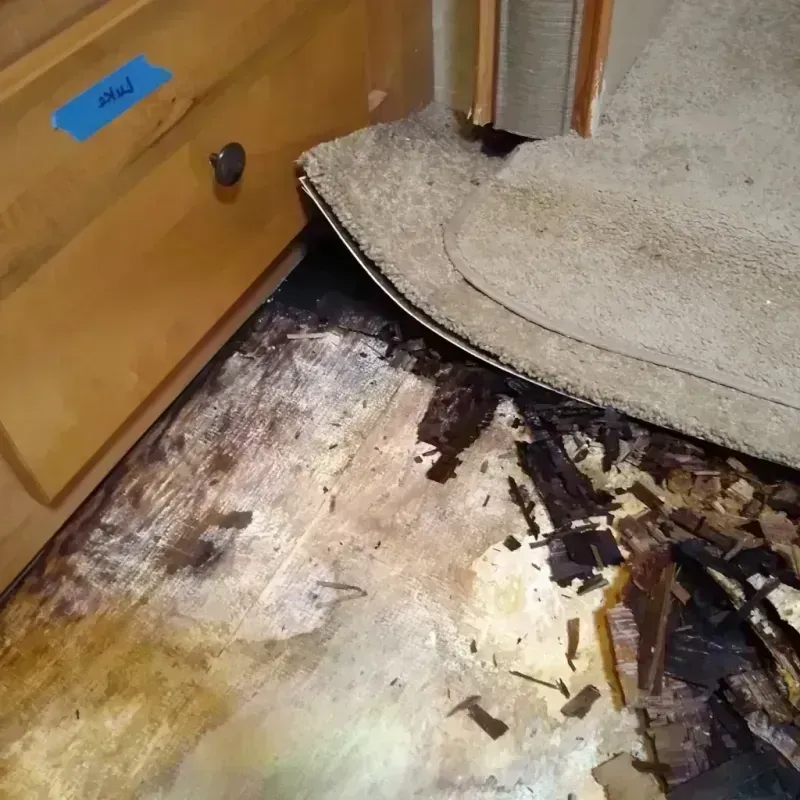 Wood Floor Water Damage in Sheridan County, MT